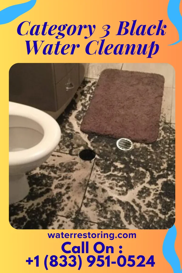 Category 3 Black Water Cleanup in Tower City, PA