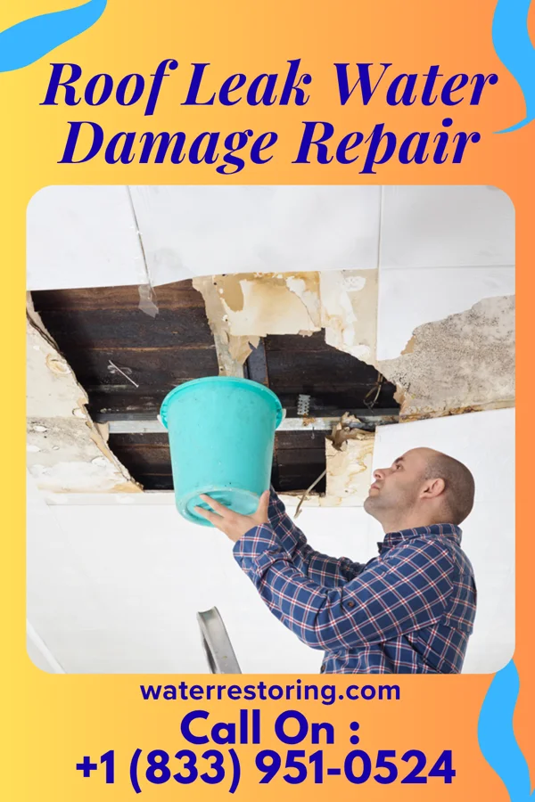 Roof Leak Water Damage Repair in Tower City, PA
