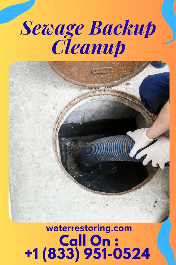 Sewage Backup Cleanup in Tower City, PA