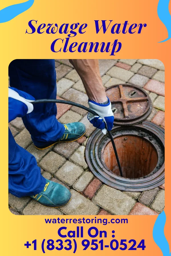 Sewage Water Cleanup in Tower City, PA